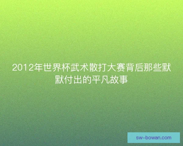 2012年世界杯武术散打大赛背后那些默默付出的平凡故事 2012年世界杯武术散打大赛背后那些默默付出的平凡故事